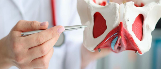 suelo pélvico en personas mayores